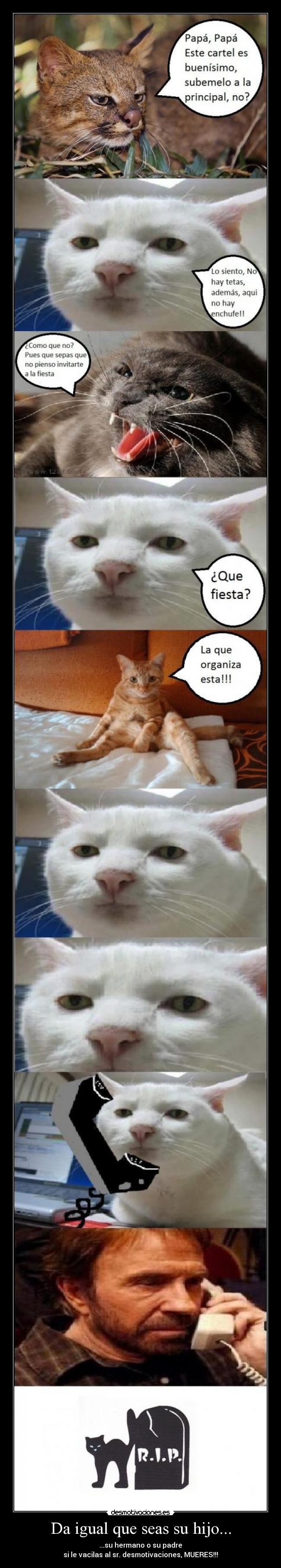 carteles desmotivaciones chuck norris walk-t hijo mueres vacilar desmotivaciones