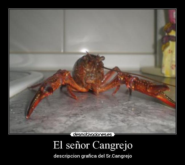 El señor Cangrejo - descripcion grafica del Sr.Cangrejo