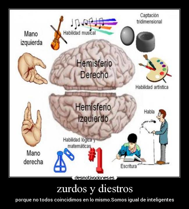 zurdos y diestros - porque no todos coincidimos en lo mismo.Somos igual de inteligentes