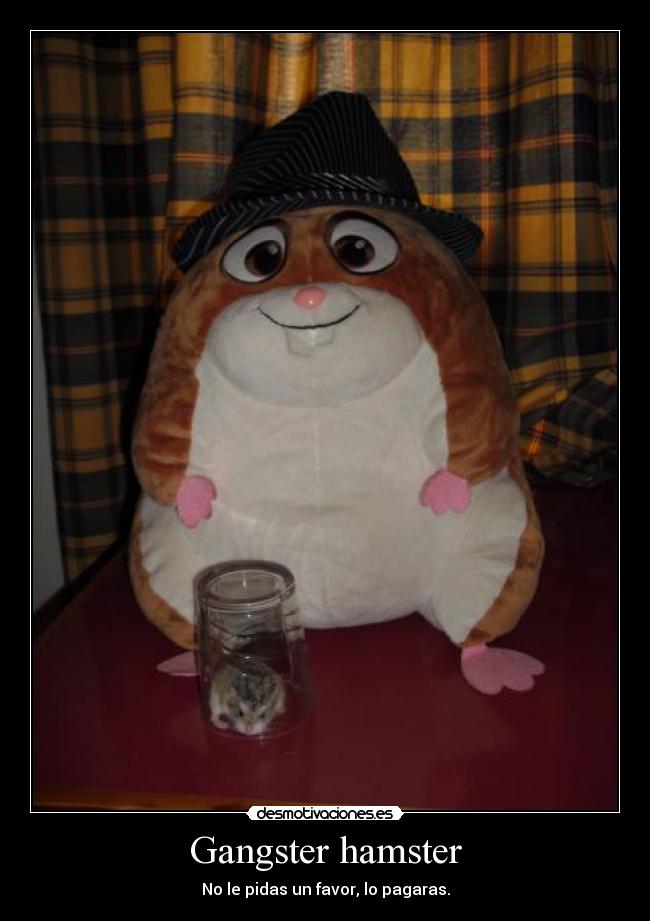 Gangster hamster - No le pidas un favor, lo pagaras.