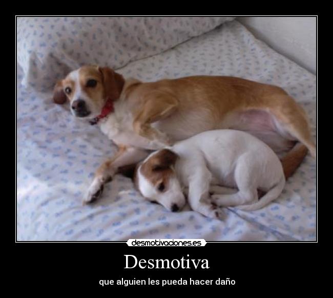 Desmotiva -