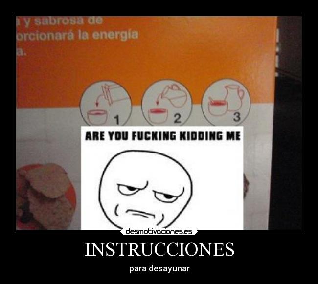 INSTRUCCIONES -