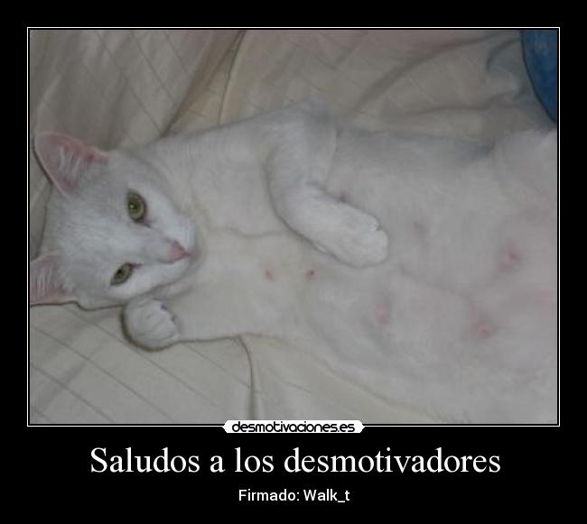 Saludos a los desmotivadores - Firmado: Walk_t