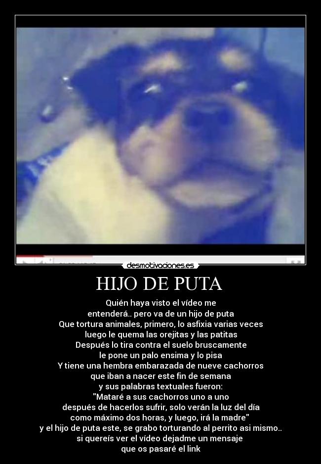 HIJO DE PUTA - Quién haya visto el vídeo me
entenderá.. pero va de un hijo de puta
Que tortura animales, primero, lo asfixia varias veces
luego le quema las orejitas y las patitas
Después lo tira contra el suelo bruscamente
le pone un palo ensima y lo pisa
Y tiene una hembra embarazada de nueve cachorros
que iban a nacer este fin de semana
y sus palabras textuales fueron:
Mataré a sus cachorros uno a uno
después de hacerlos sufrir, solo verán la luz del día
como máximo dos horas, y luego, irá la madre
y el hijo de puta este, se grabo torturando al perrito asi mismo..
si quereís ver el vídeo dejadme un mensaje
que os pasaré el link