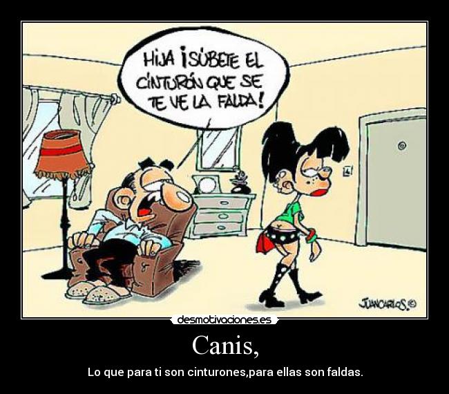 Canis, - 