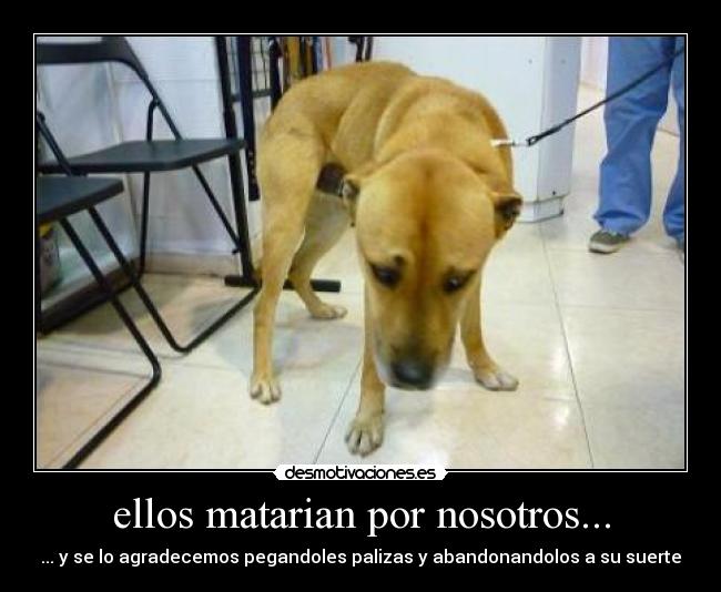ellos matarian por nosotros... -