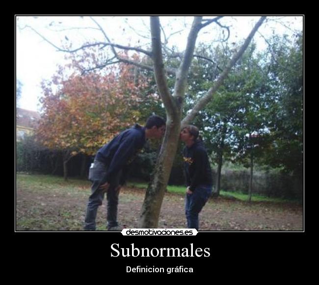 Subnormales - 
