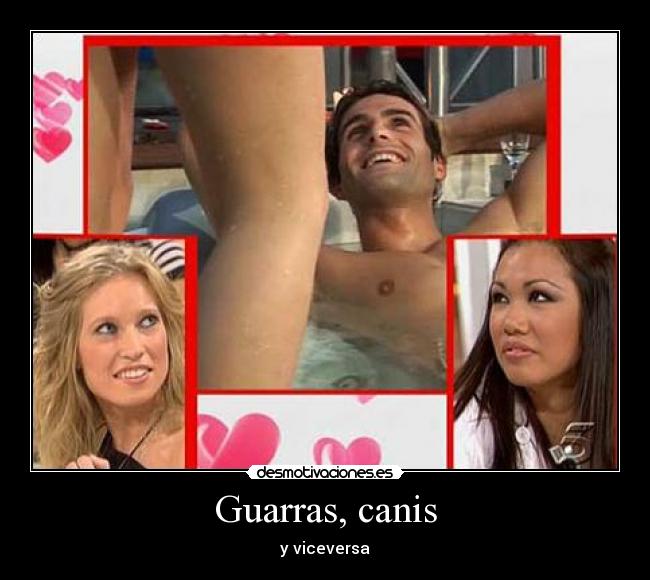 Guarras, canis - y viceversa