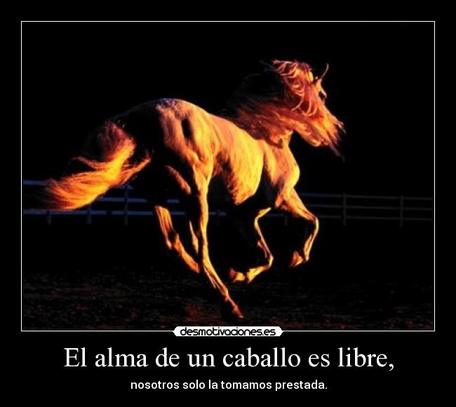 El alma de un caballo es libre, - nosotros solo la tomamos prestada.