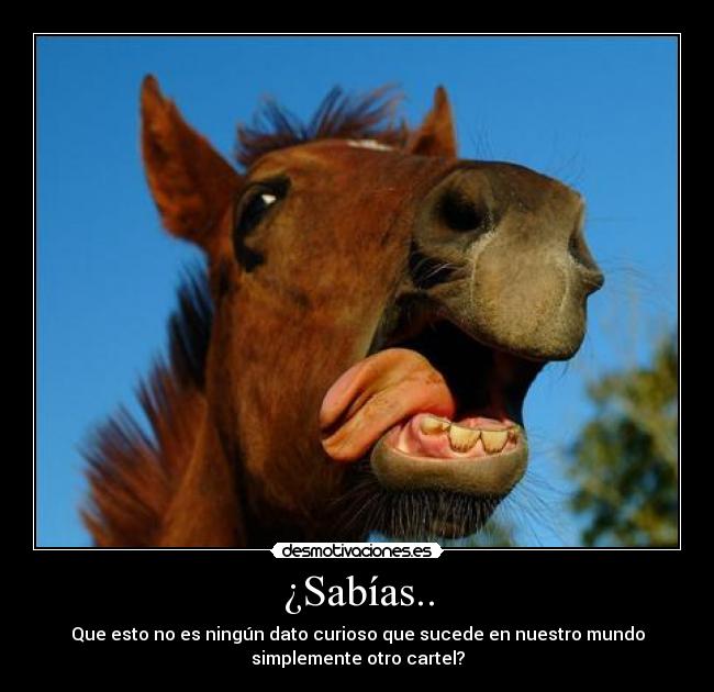 ¿Sabías.. - Que esto no es ningún dato curioso que sucede en nuestro mundo
simplemente otro cartel?