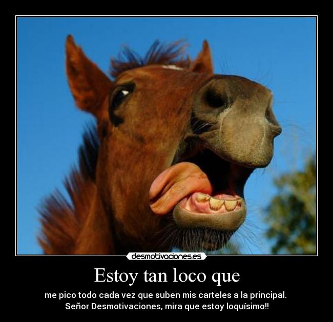 carteles loiaopwe desmotivaciones