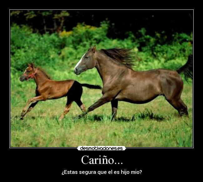 Cariño... -