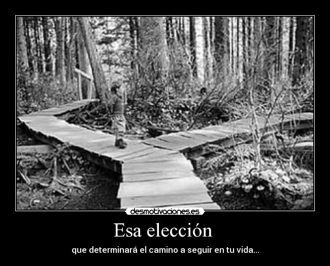 Esa elección -
