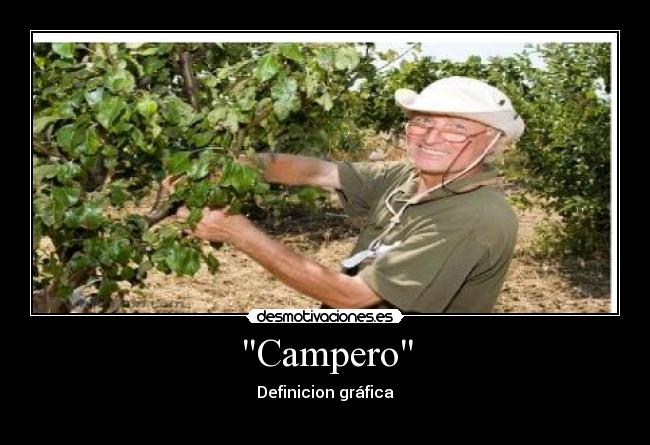 Campero -