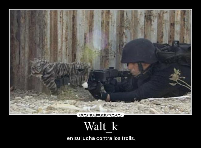 Walt_k -