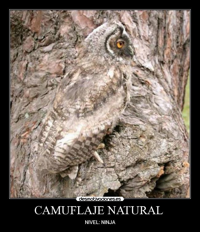 CAMUFLAJE NATURAL -