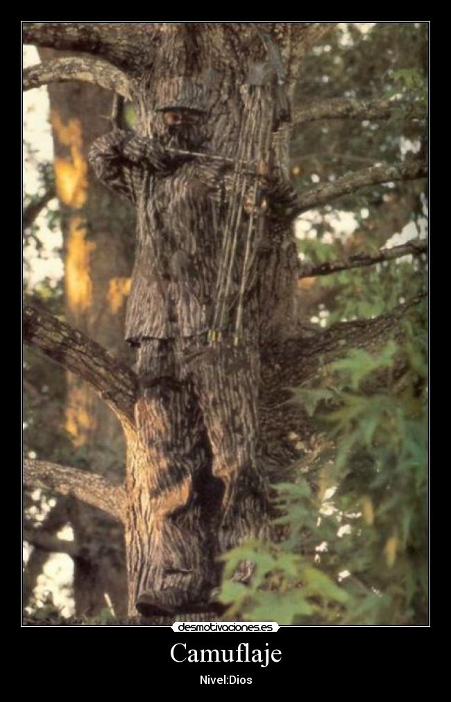 Camuflaje - Nivel:Dios