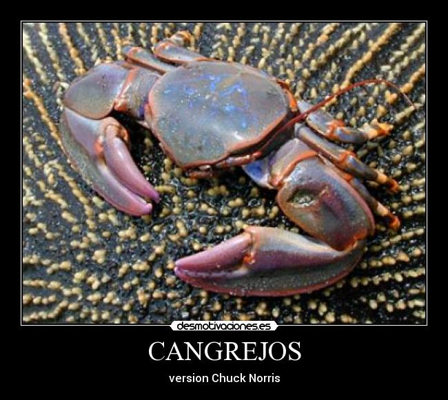 carteles tags desmotivaciones