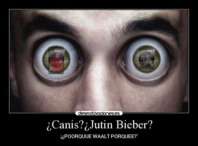 ¿Canis?¿Jutin Bieber? -