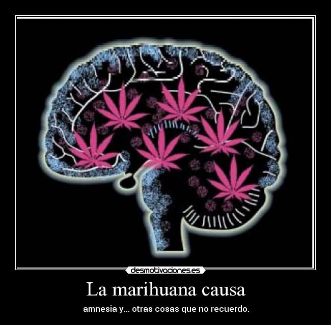 La marihuana causa -