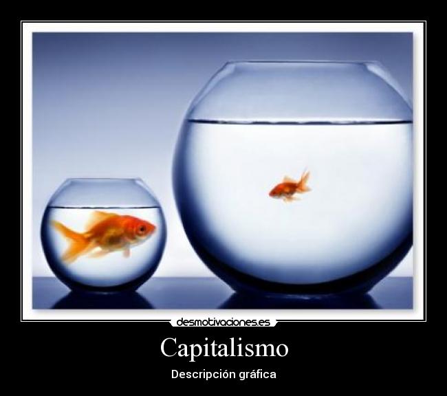Capitalismo - Descripción gráfica