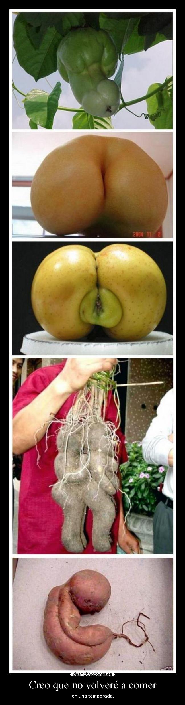 Creo que no volveré a comer -