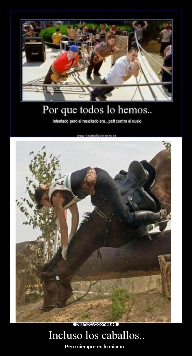 Incluso los caballos.. -