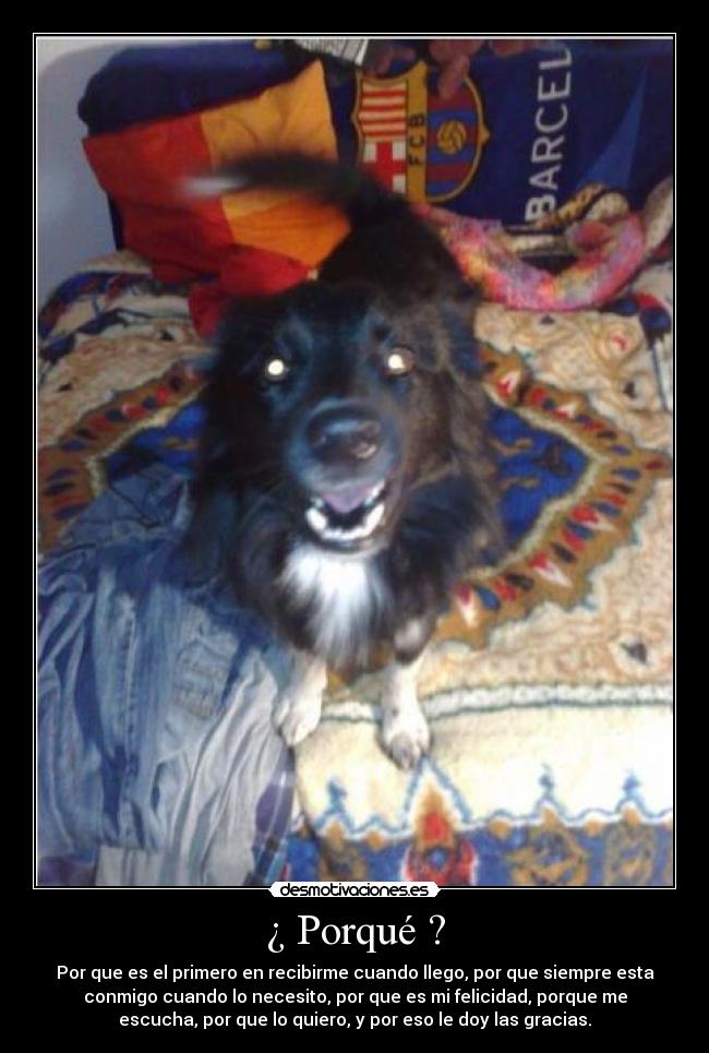 ¿ Porqué ? - Por que es el primero en recibirme cuando llego, por que siempre esta
conmigo cuando lo necesito, por que es mi felicidad, porque me
escucha, por que lo quiero, y por eso le doy las gracias.