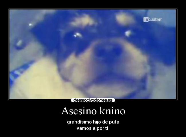 carteles asesino knino desmotivaciones