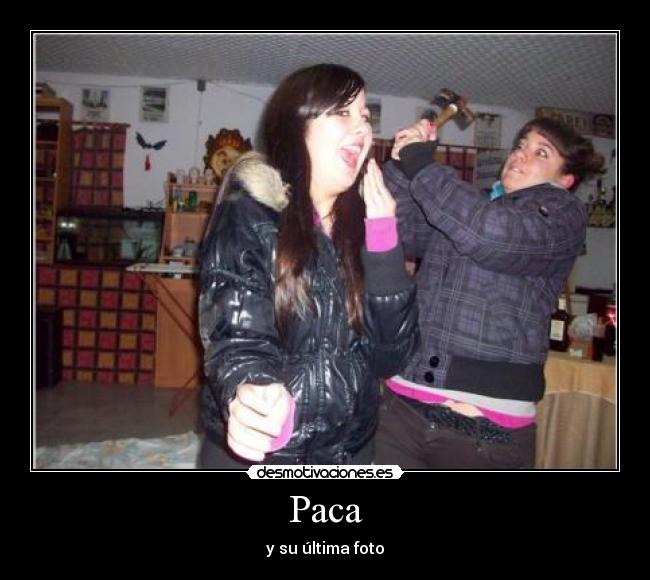 Paca -