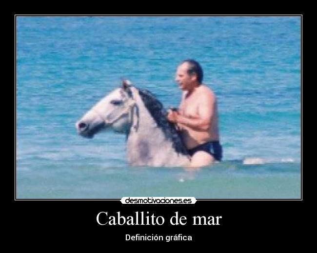 Caballito de mar - Definición gráfica