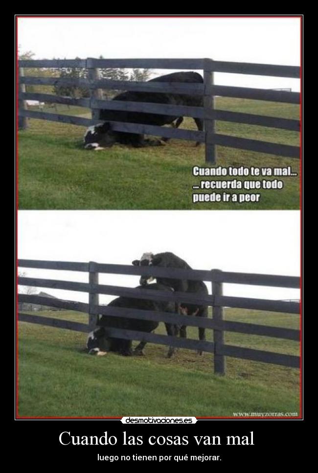 Cuando las cosas van mal -