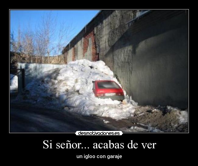 Si señor... acabas de ver -