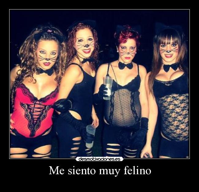 Me siento muy felino -