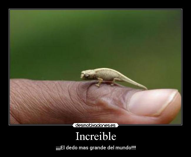 Increible -