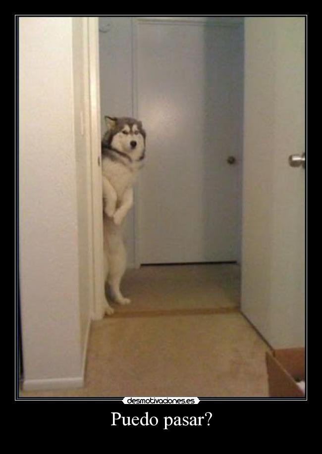 Puedo pasar? -  