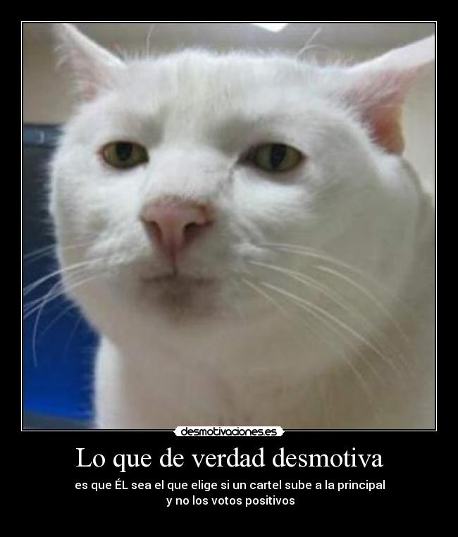 Lo que de verdad desmotiva - es que ÉL sea el que elige si un cartel sube a la principal
y no los votos positivos