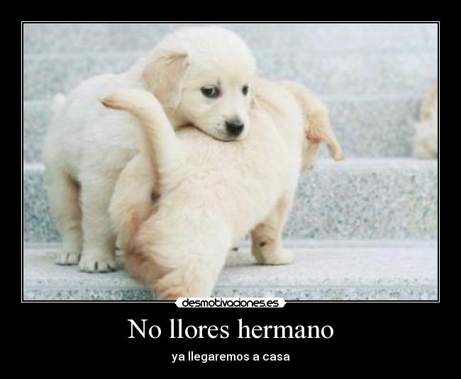 No llores hermano - ya llegaremos a casa