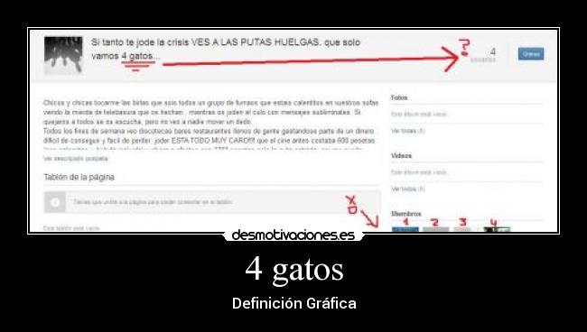 4 gatos - Definición Gráfica