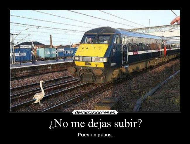 ¿No me dejas subir? -