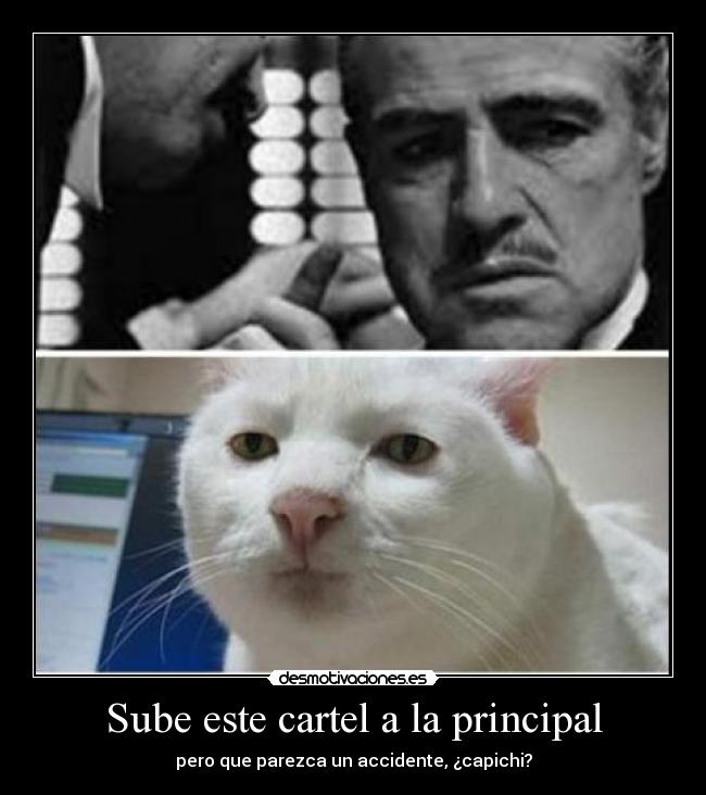 Sube este cartel a la principal - pero que parezca un accidente, ¿capichi?