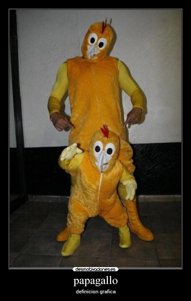papagallo - definicion grafica