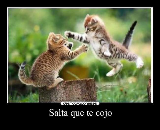 Salta que te cojo -
