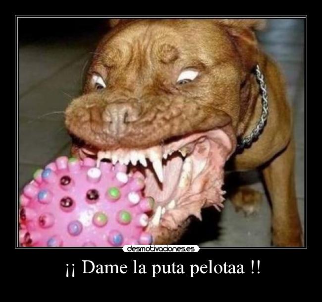 ¡¡ Dame la puta pelotaa !! -