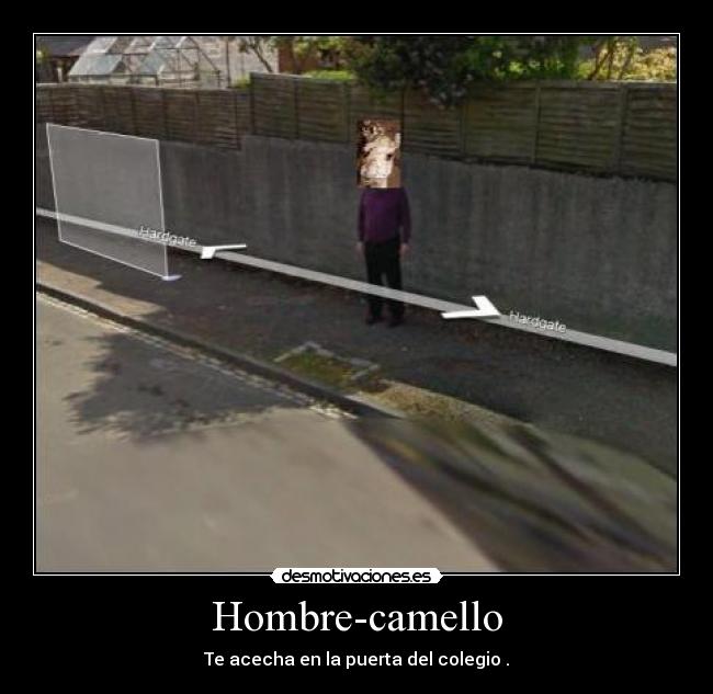 Hombre-camello - 