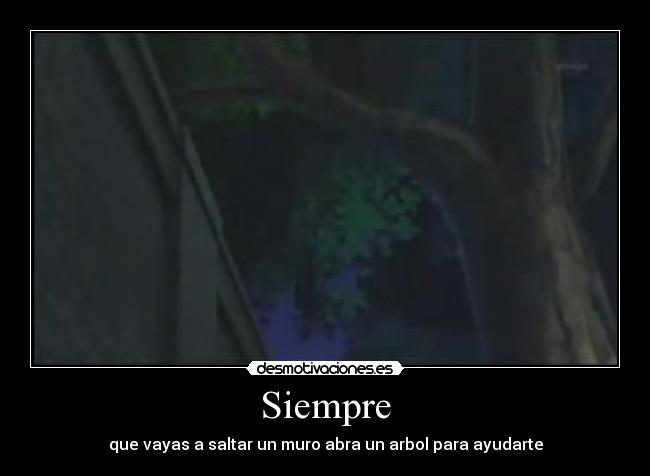 Siempre - que vayas a saltar un muro abra un arbol para ayudarte