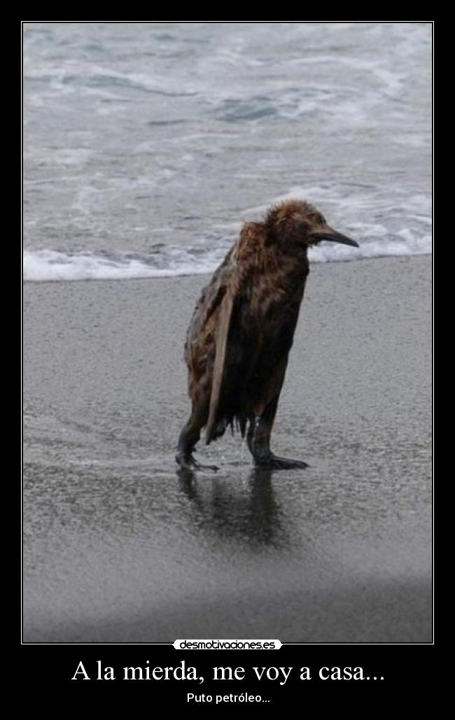 A la mierda, me voy a casa... -