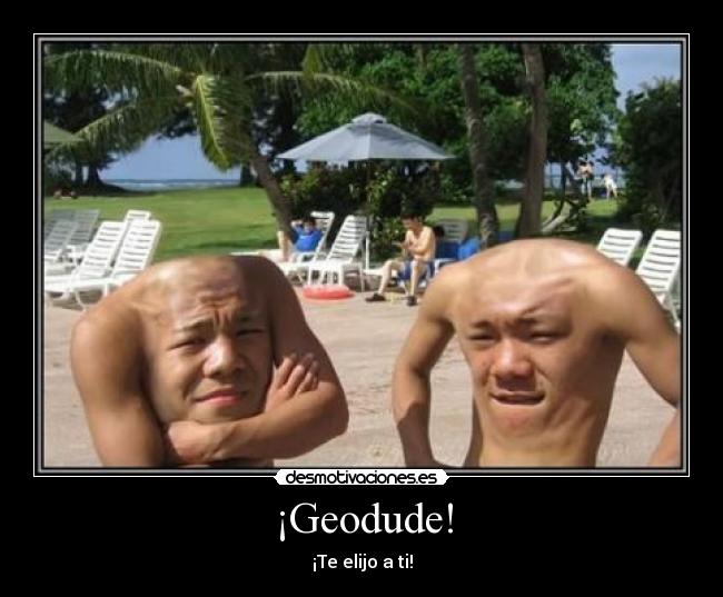 ¡Geodude! - 