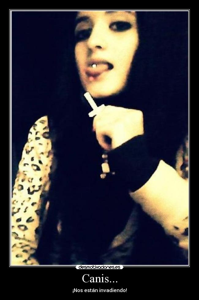Canis... - ¡Nos están invadiendo!