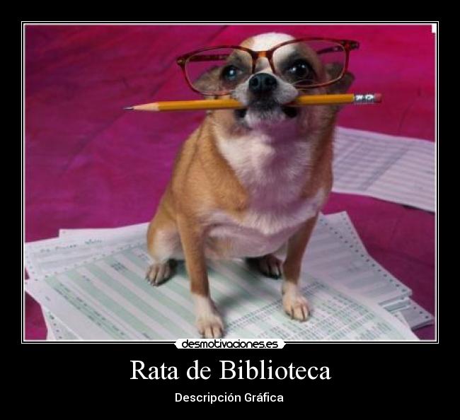 Rata de Biblioteca - Descripción Gráfica 